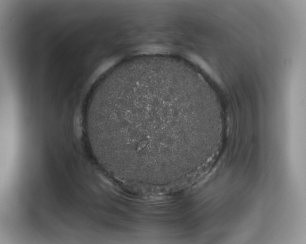 X0000115301213200911091005