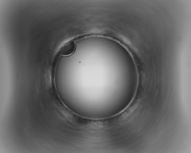 X0000115301214200911091005