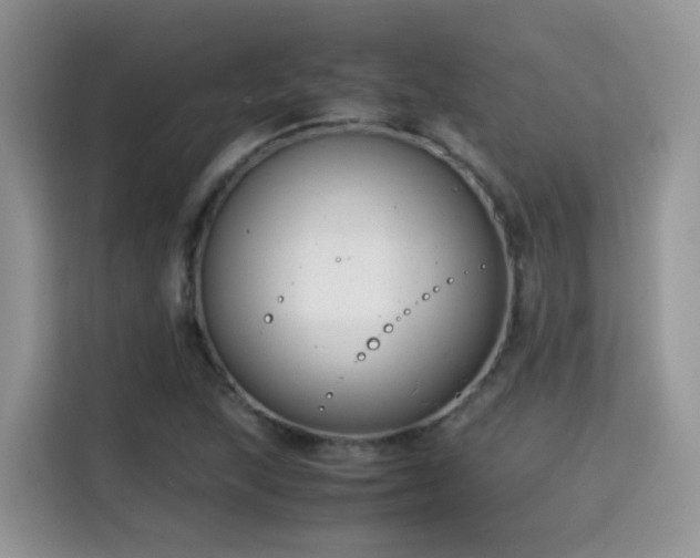 X0000115301215200911091005