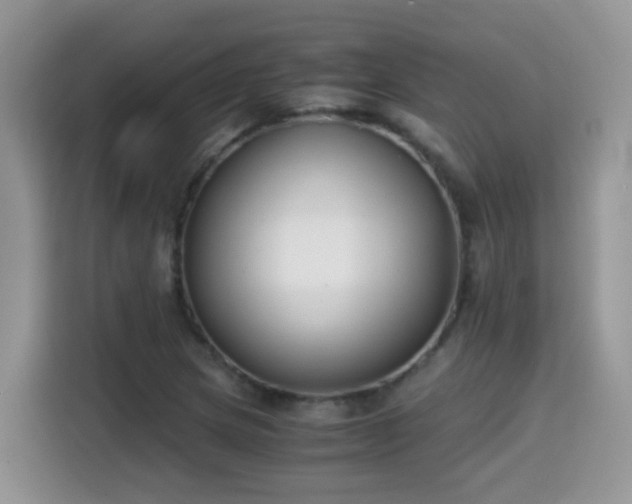 X0000115301217200911091005