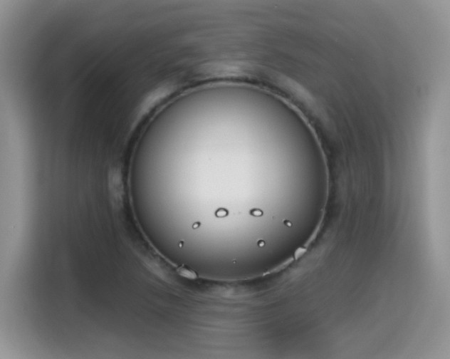 X0000115301218200911091005