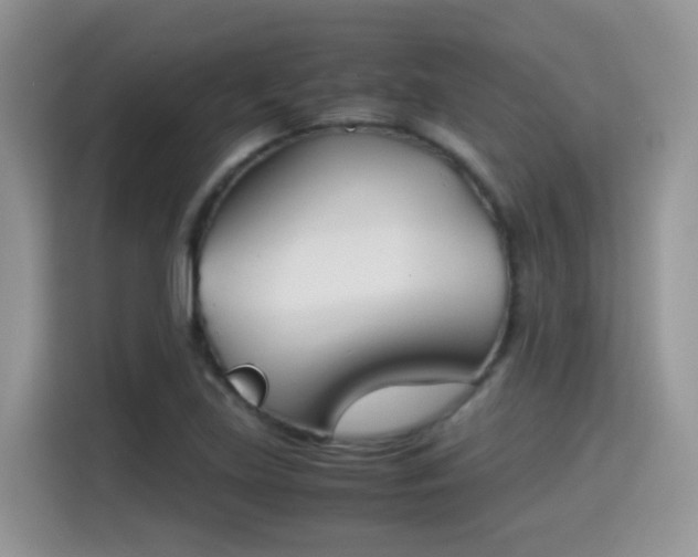 X0000115301219200911091005