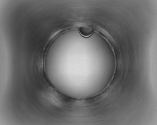 X0000115301220200911091005