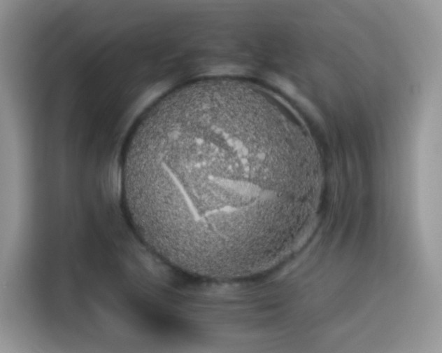 X0000115301221200911091005