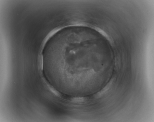 X0000115301223200911091005