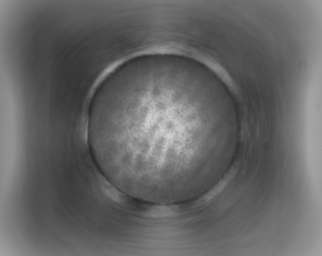 X0000115301224200911091005