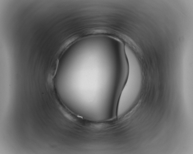 X0000115301225200911091005