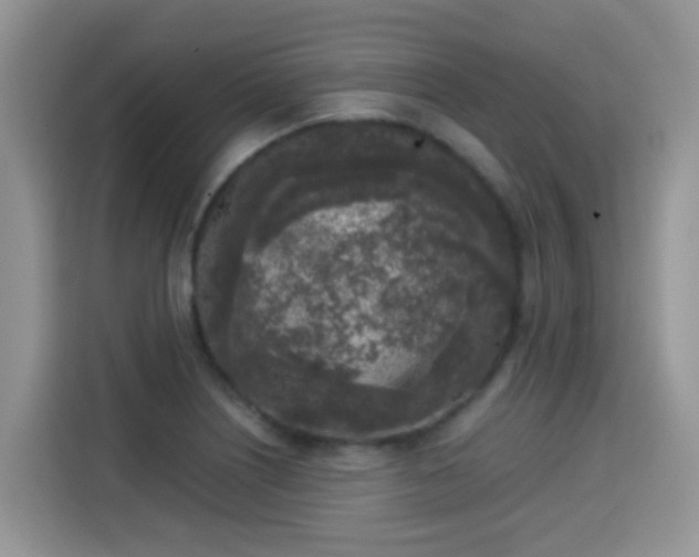 X0000115301226200911091005