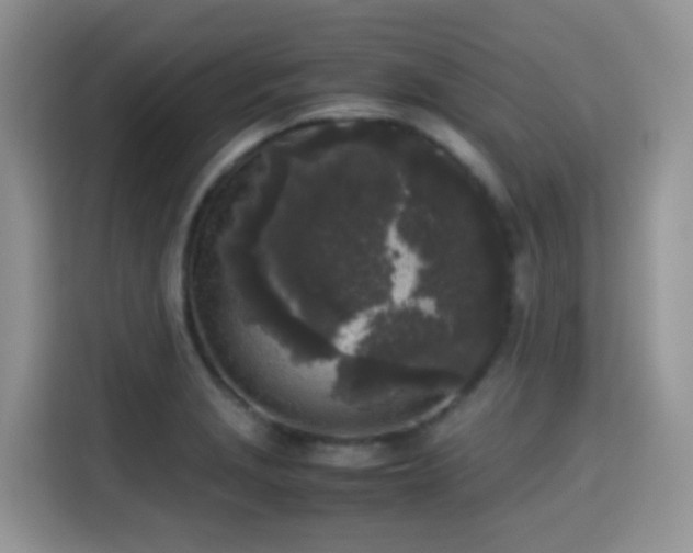 X0000115301229200911091005
