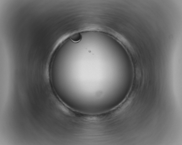 X0000115301230200911091005