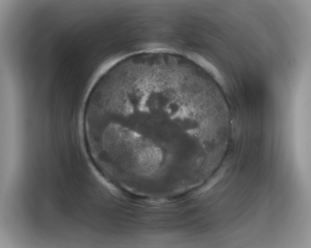 X0000115301231200911091005