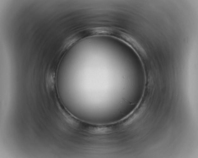 X0000115301233200911091005