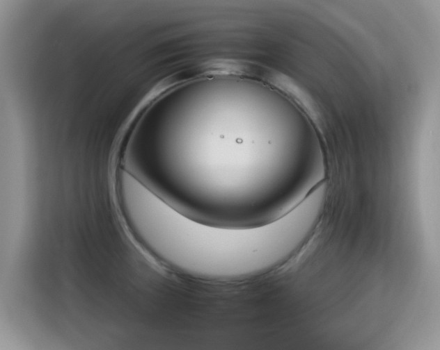 X0000115301235200911091005