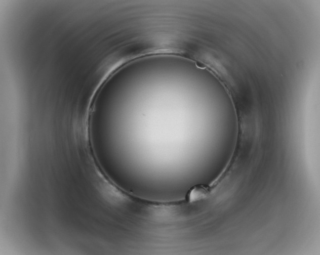 X0000115301236200911091005