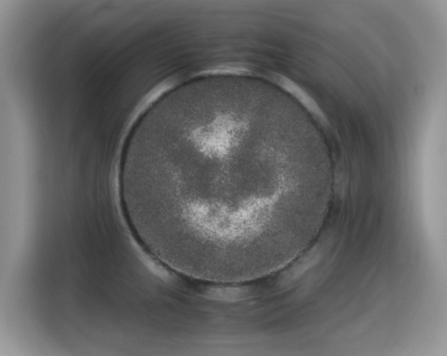 X0000115301237200911091006