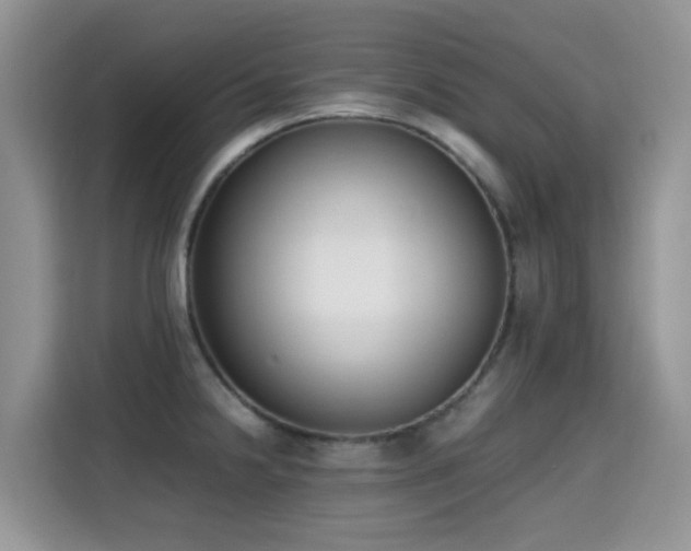 X0000115301238200911091006