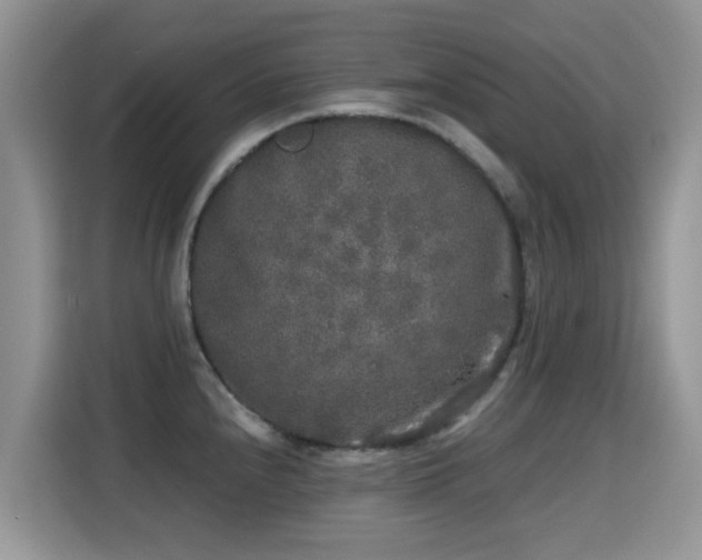 X0000115301240200911091006