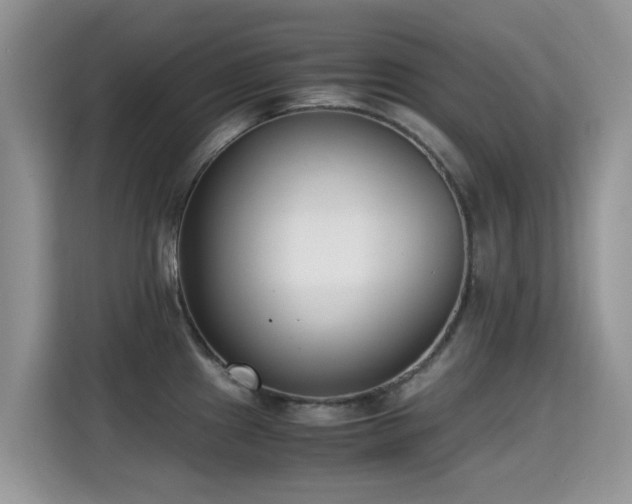 X0000115301241200911091006