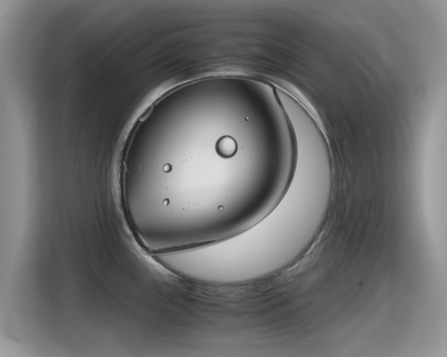 X0000115301243200911091006