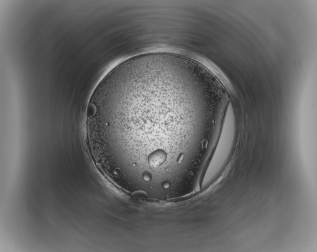 X0000115301244200911091006