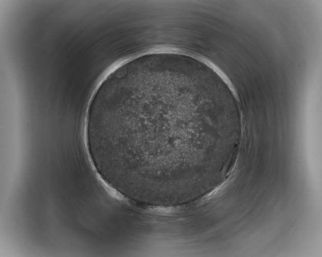 X0000115301245200911091006