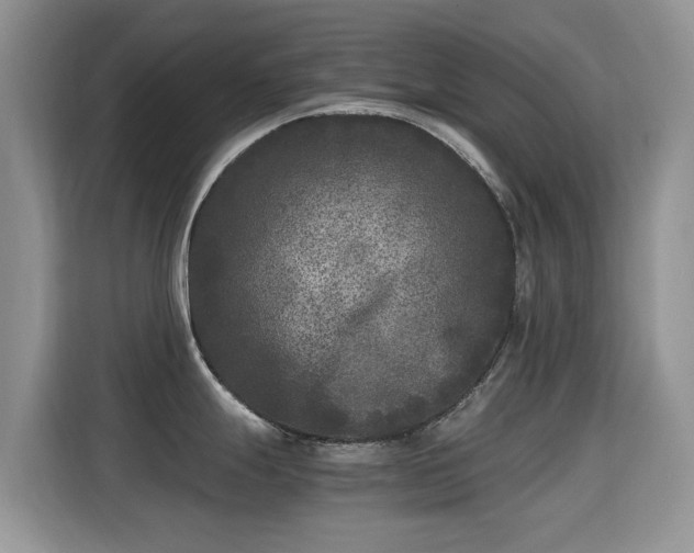 X0000115301247200911091006