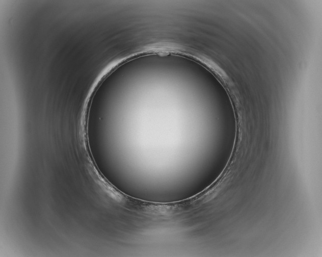 X0000115301248200911091006