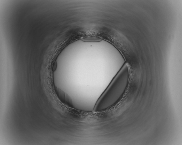 X0000115301249200911091005