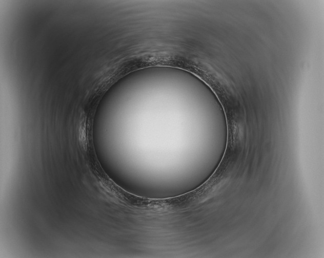 X0000115301250200911091005