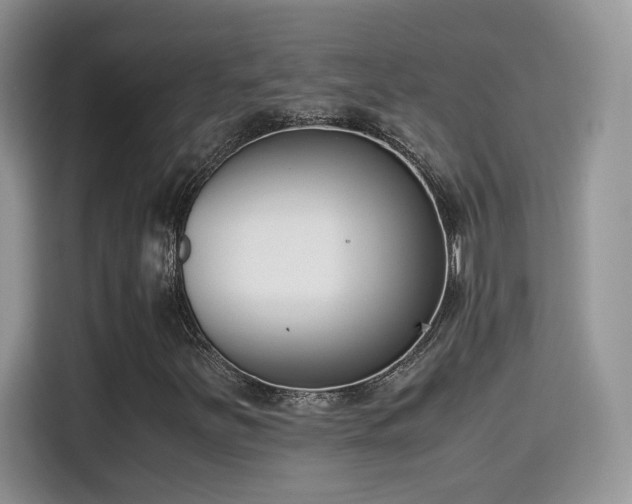 X0000115301251200911091005