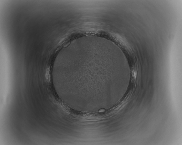 X0000115301252200911091005