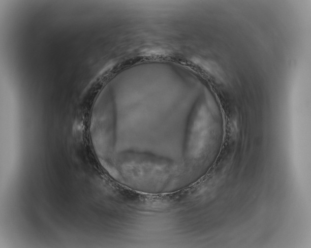 X0000115301254200911091005