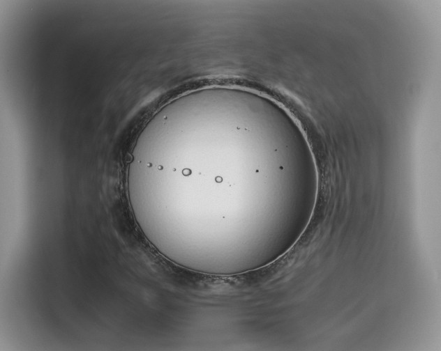 X0000115301255200911091005