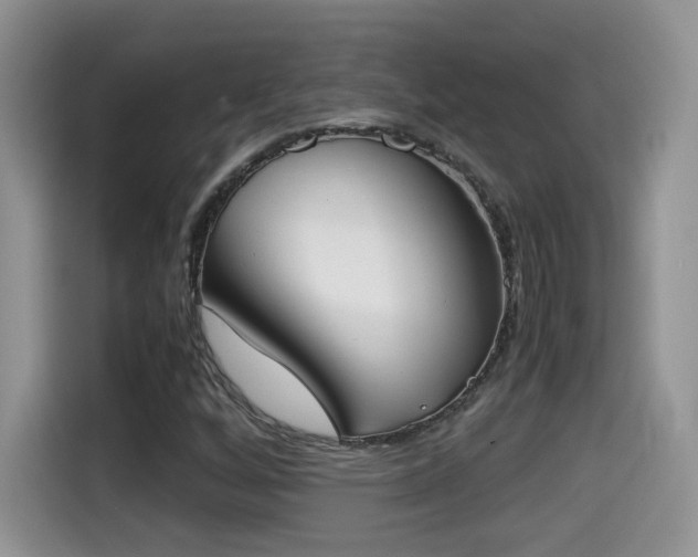 X0000115301256200911091005