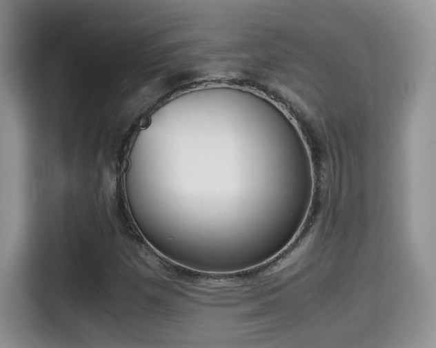 X0000115301257200911091005
