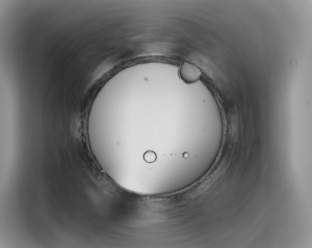 X0000115301258200911091005