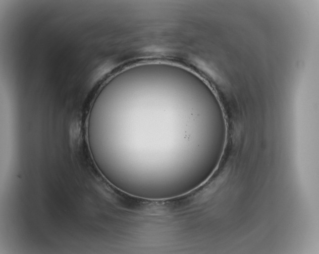 X0000115301259200911091005