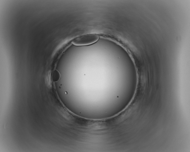 X0000115301262200911091005