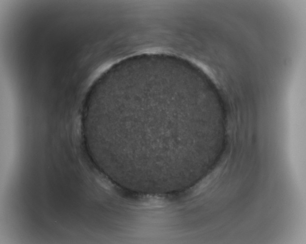 X0000115301263200911091005