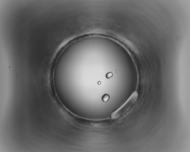 X0000115301264200911091005