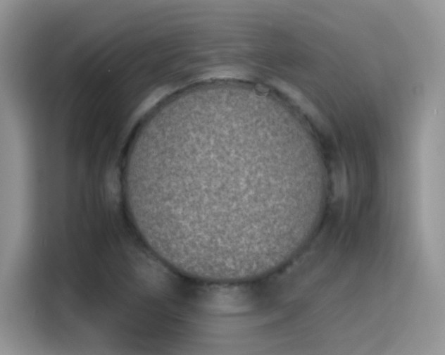 X0000115301266200911091005
