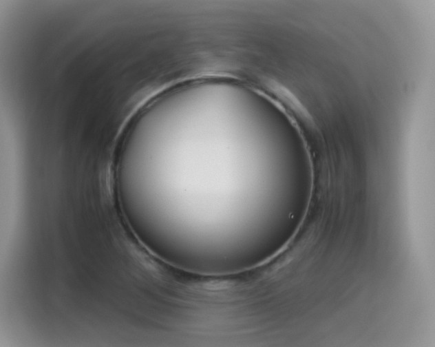 X0000115301268200911091005