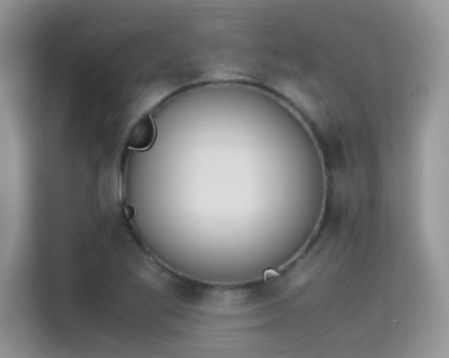 X0000115301269200911091005