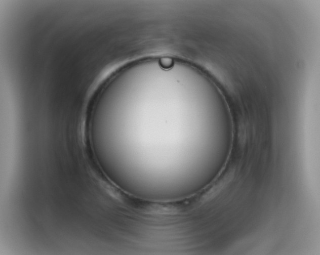 X0000115301270200911091005