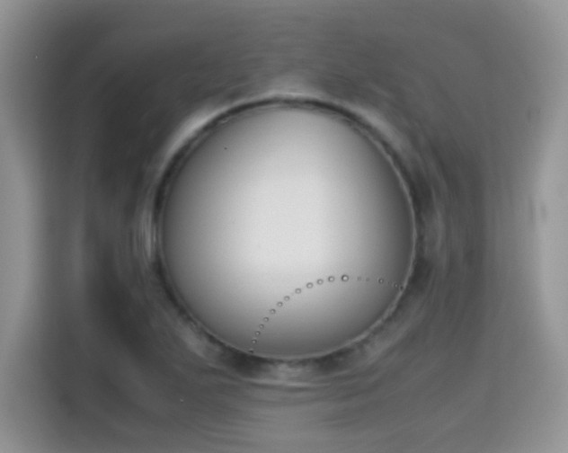 X0000115301271200911091005
