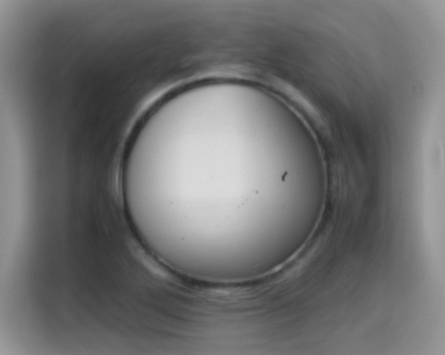 X0000115301272200911091005