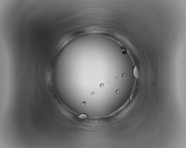 X0000115301273200911091005