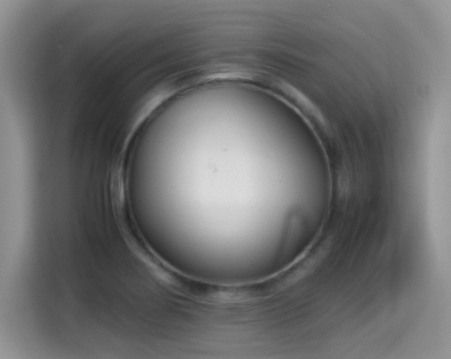 X0000115301274200911091005