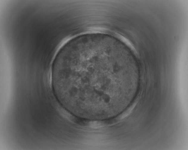 X0000115301275200911091005