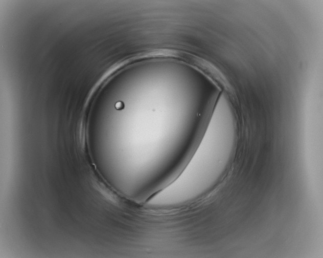 X0000115301276200911091005